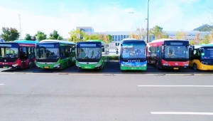 美好生活 綠色出行
第十六屆文化節微視頻創意大賽團體二等獎